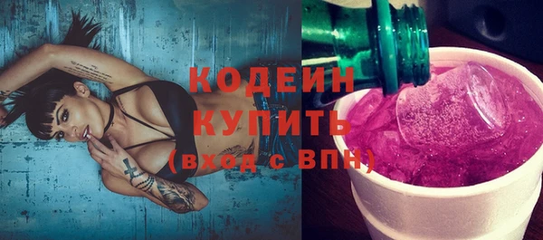 эйфоретик Няндома