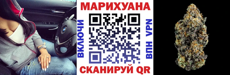 где купить Зеленоградск Каннабис ГИДРОПОН